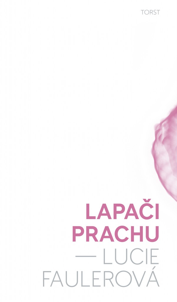 Lapači prachu