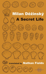 A Secret Life cover