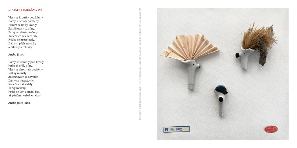 Kopie souboru diktaty-ukazka-part-2_page-0001